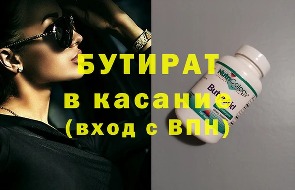 гашик Алексин