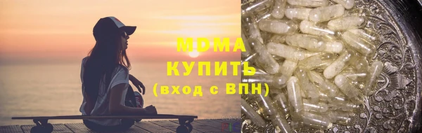 гашик Алексин
