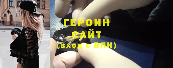 гашик Алексин