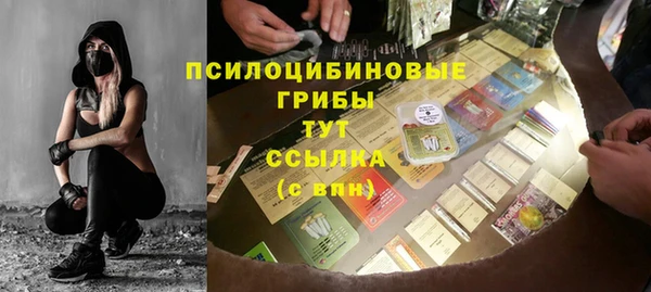 гашик Алексин